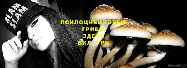 молекула духа Алексеевка