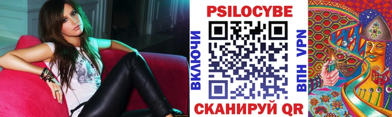 купить   Россошь  Галлюциногенные грибы GOLDEN TEACHER 