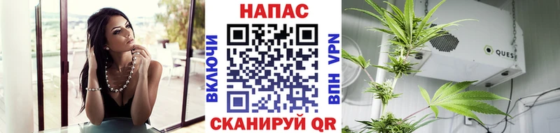 купить  цена  Россошь  Конопля марихуана 
